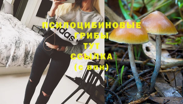 бошки Арсеньев