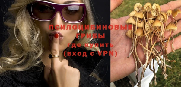 соль ск Аркадак
